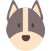 hund-8