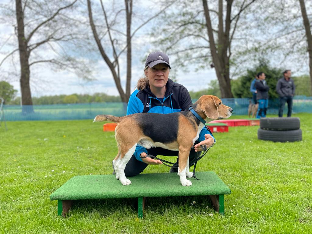 eaed6f78-8d60-48e6-bdfd-98eb8a603865